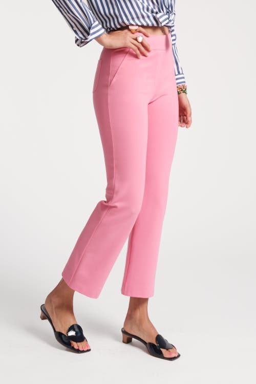 Shop Frances Valentine Wonder Pant Solid Stretch In Pink