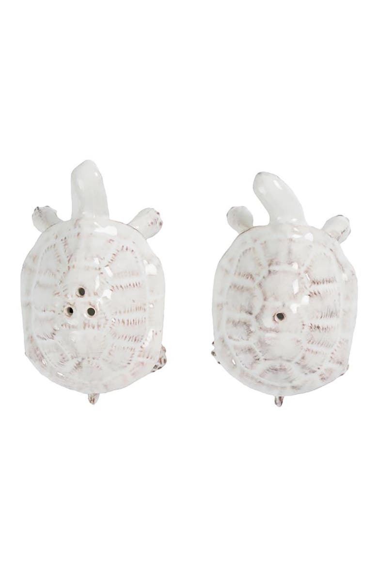 Clever Creatures Turtle Salt & Pepper Shakers Set, Alternate, color, WHITEWASH