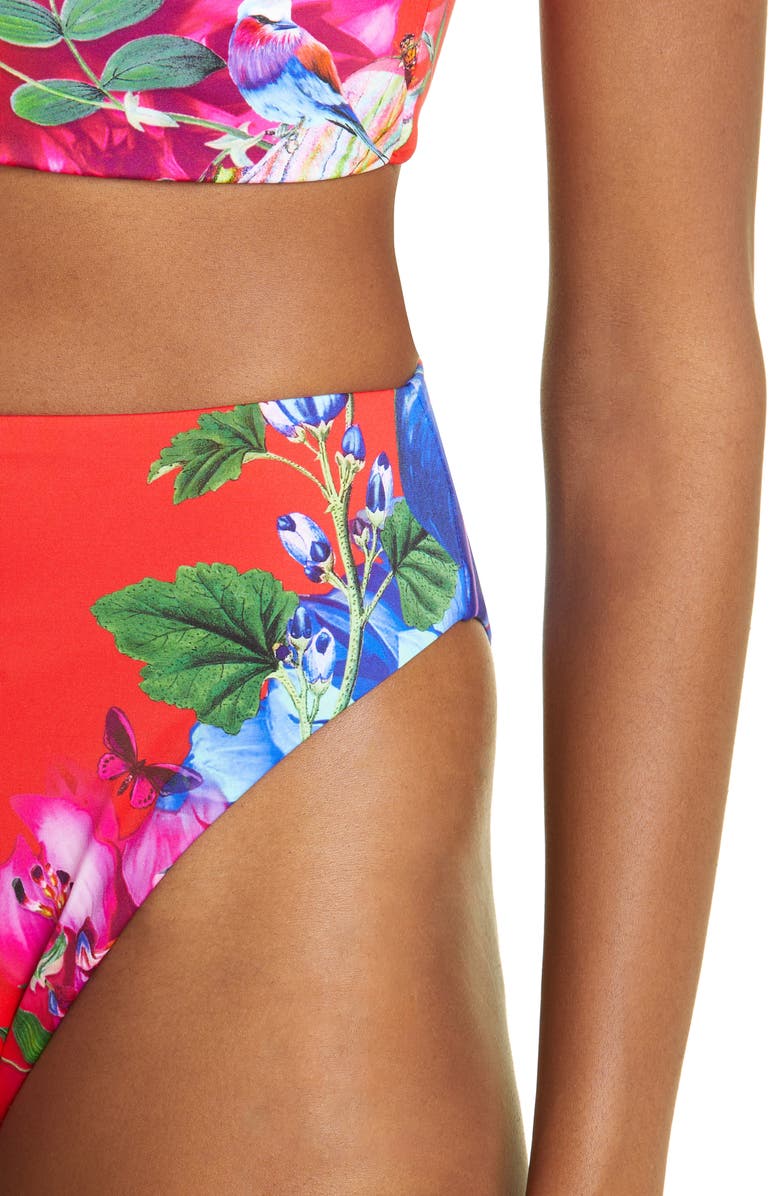 Camilla Birds of a Feather High Waist Bikini Bottoms, Alternate, color,