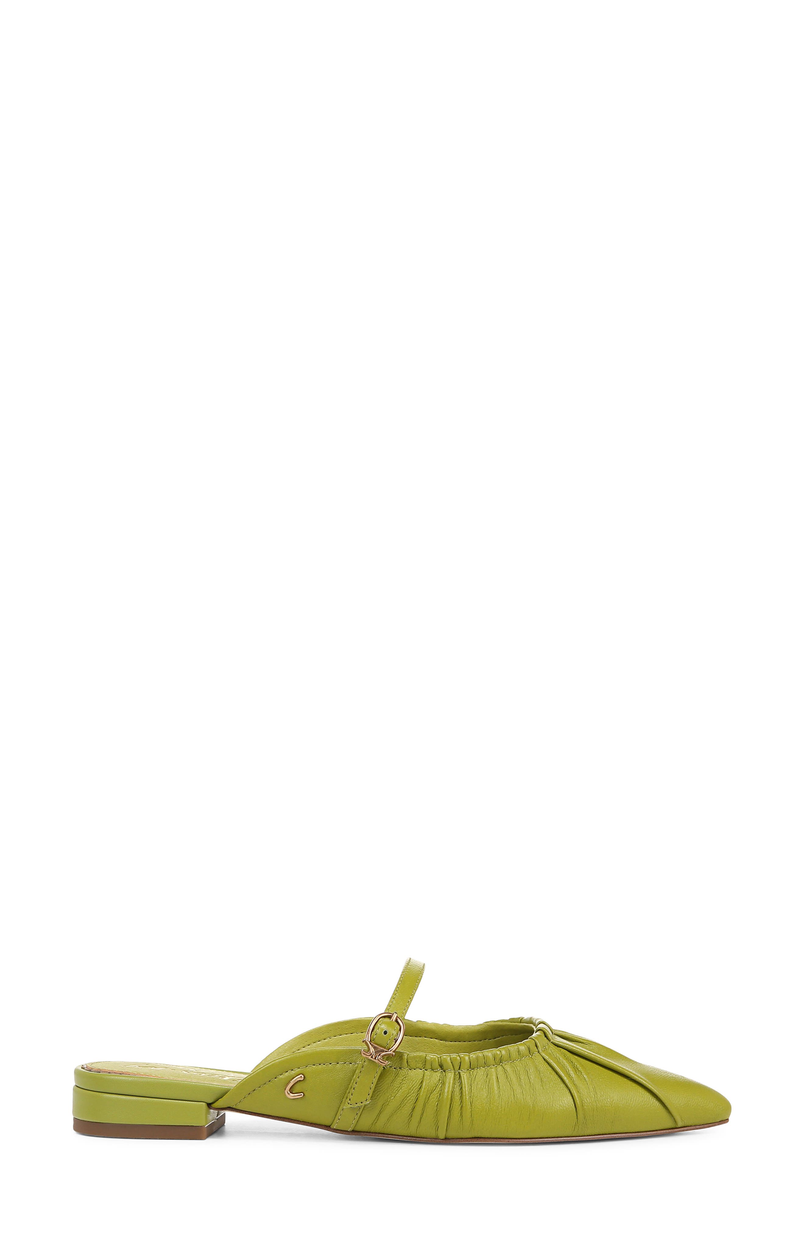 Circus NY by Sam Edelman Larissah Pointed Toe Mule, Alternate, color, Cactus