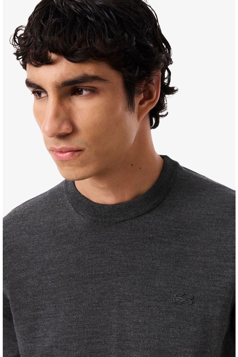 Merino Wool Crewneck Sweater, Alternate, color, PITCH CHINE