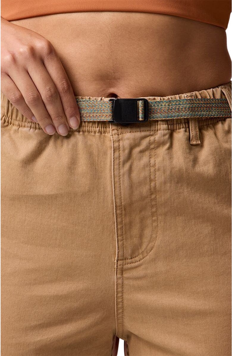 Backcountry Venture Daily Pant - Women's, Alternate, color, Bistre/Sierra