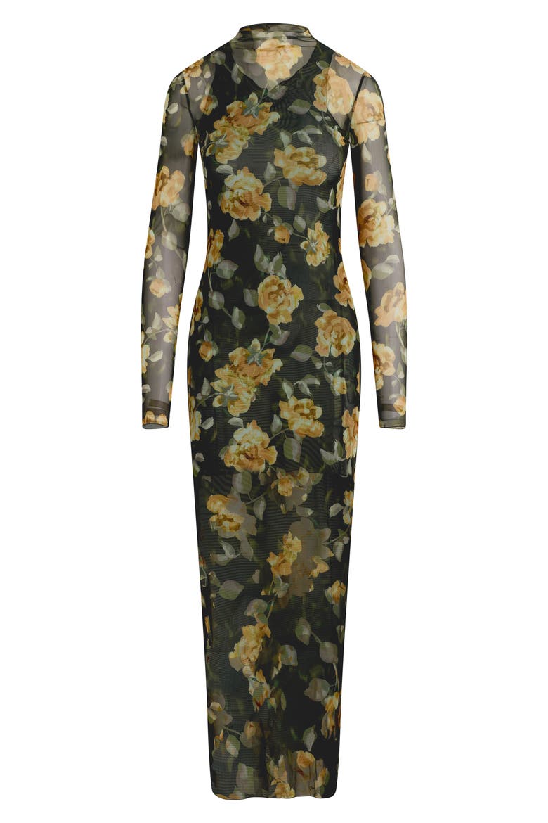 The Sheer Fantasy Floral Long Sleeve Mesh Maxi Dress, Alternate, color, GOLDEN FLOWERBED