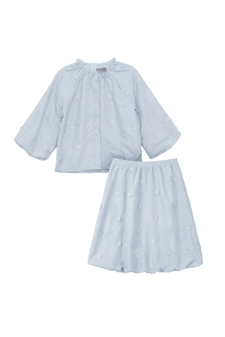 Floral Embroidery Applique Ruffle Neckline Shirred Blouse and Skirt Set, Main, color, Blue