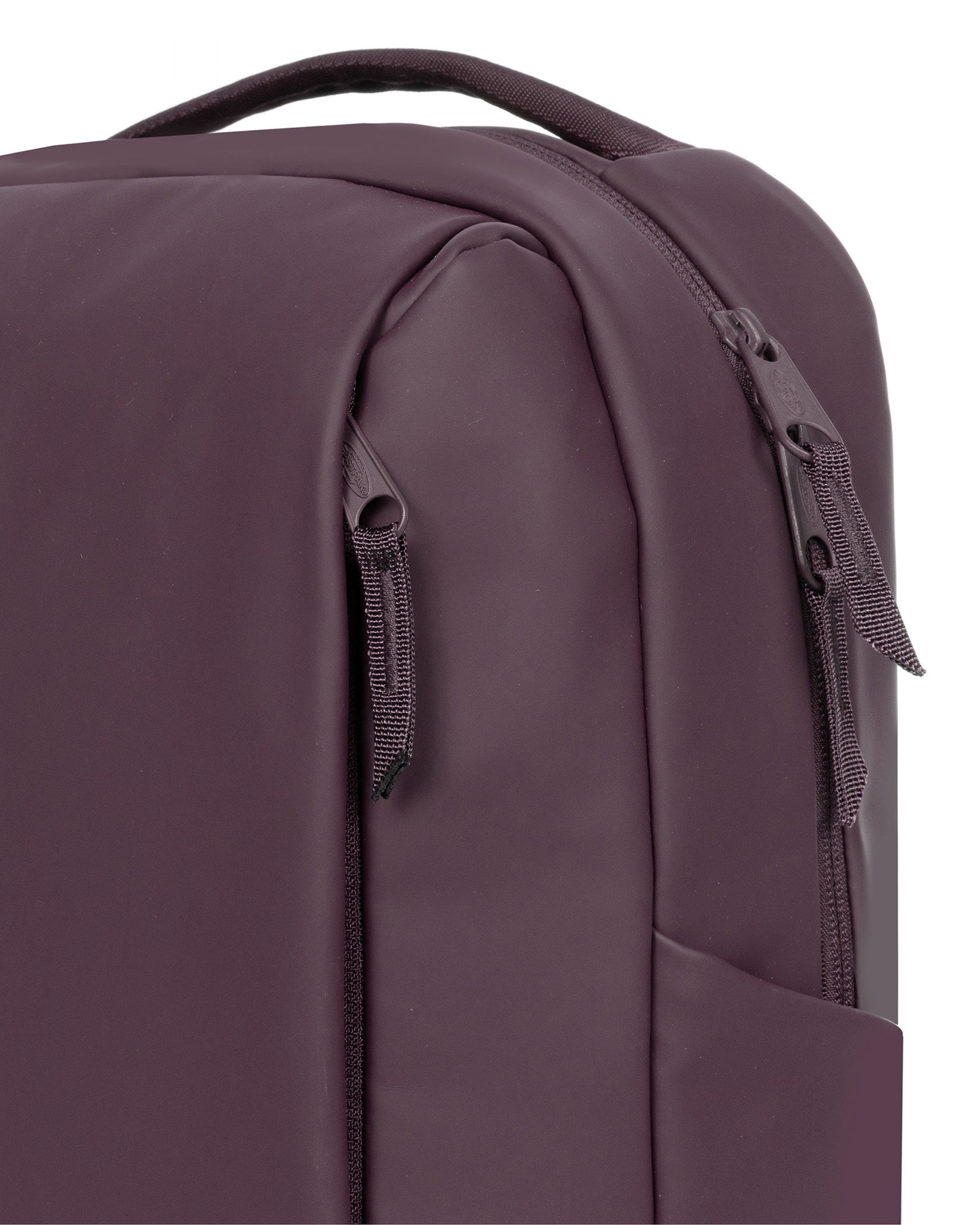 Tecum F Cnnct F Backpack, Alternate, color, Fig