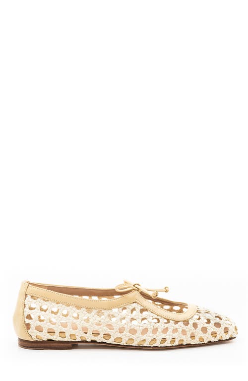 Andrea Gomez Amelia Leather Ballet Flats In Natural Raffia