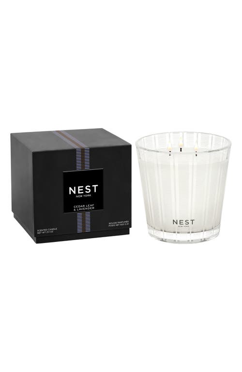 Nest New York Cedar Leaf & Lavender Candle In Transparent
