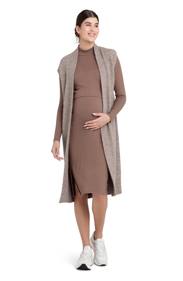 Ripe Maternity Ruby Layered Rib Long Sleeve Maternity/Nursing Dress, Alternate, color, 