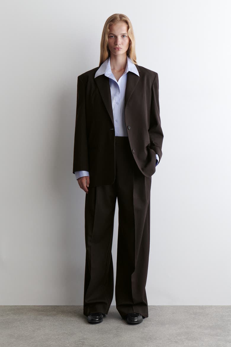 Relaxed Twill Wide-Leg Pants, Alternate, color, DARK BROWN