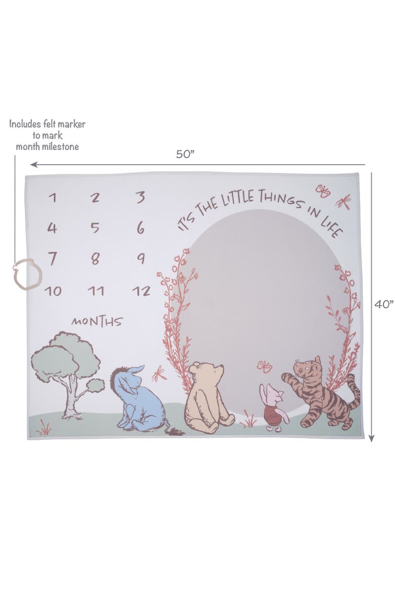 Lambs & Ivy Disney Pooh Bear and Pals Photo Opp Milestone Fleece Baby Blanket, Alternate, color, White