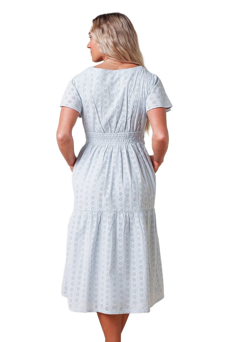 Women's Organic Tiered Eyelet Dress, Alternate, color, Pale Blue Eyelet