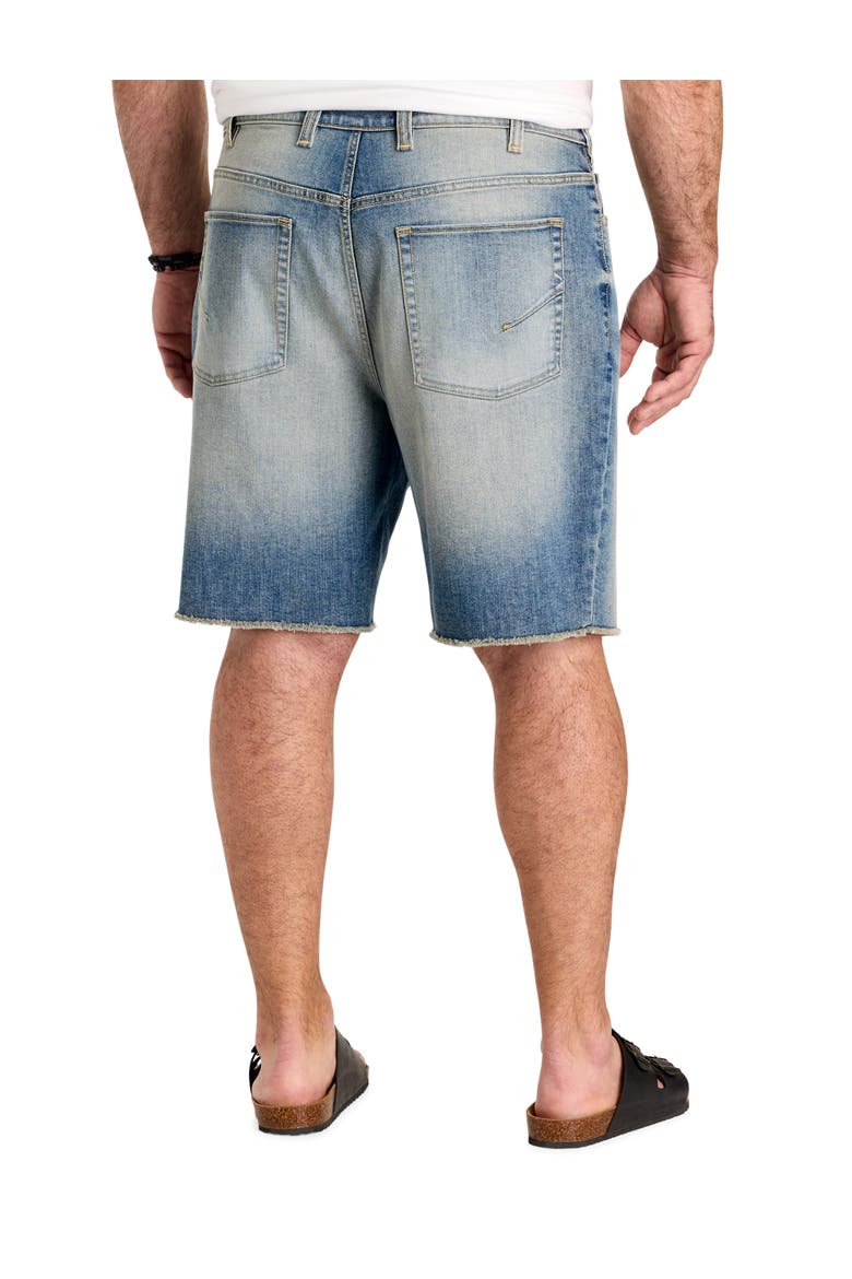 Big & Tall Distressed Denim Shorts, Alternate, color, DIRTY INDIGO