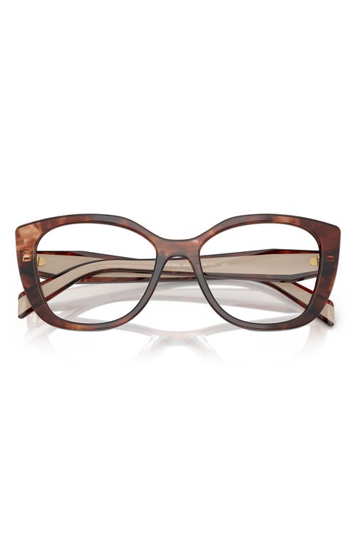 Prada 51mm Cat Eye Optical Glasses In Caramel