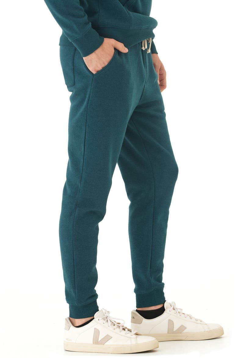 Core Triblend Fleece Joggers, Alternate, color, SERRANO