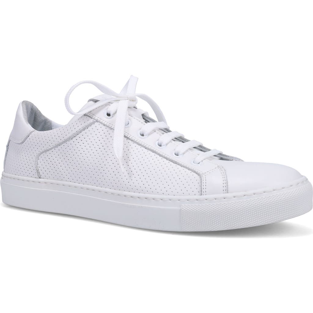 Ron White Dawson Sneaker In White