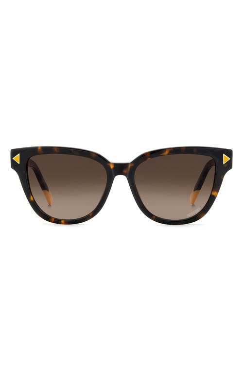 Shop Missoni 53mm Cat Eye Sunglasses In Havana/brown