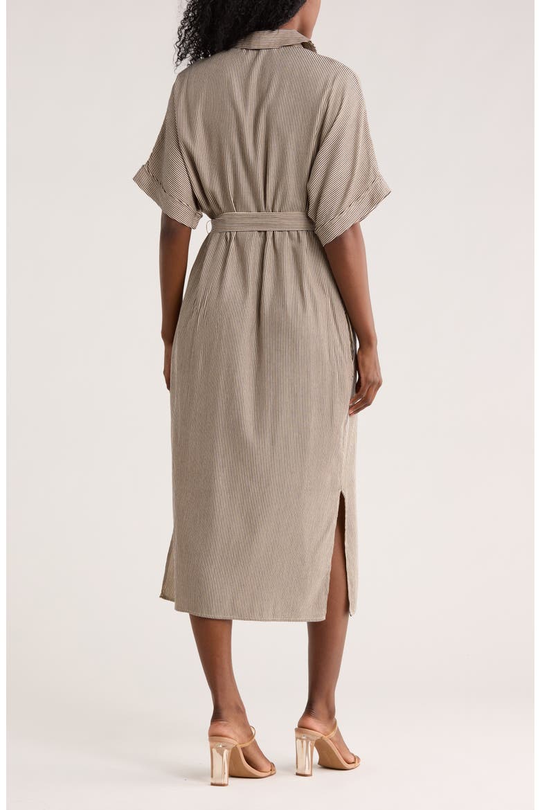 Stripe Midi Shirtdress, Alternate, color, TAUPE/ NAVY