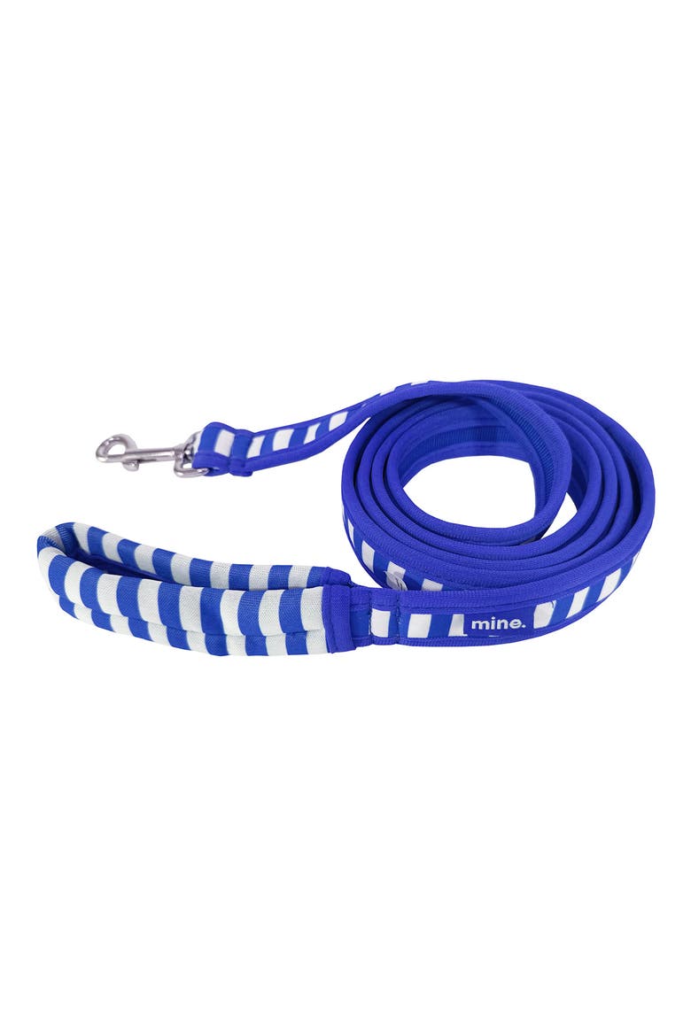 Cabana Stripes Leash, Main, color, BLUE