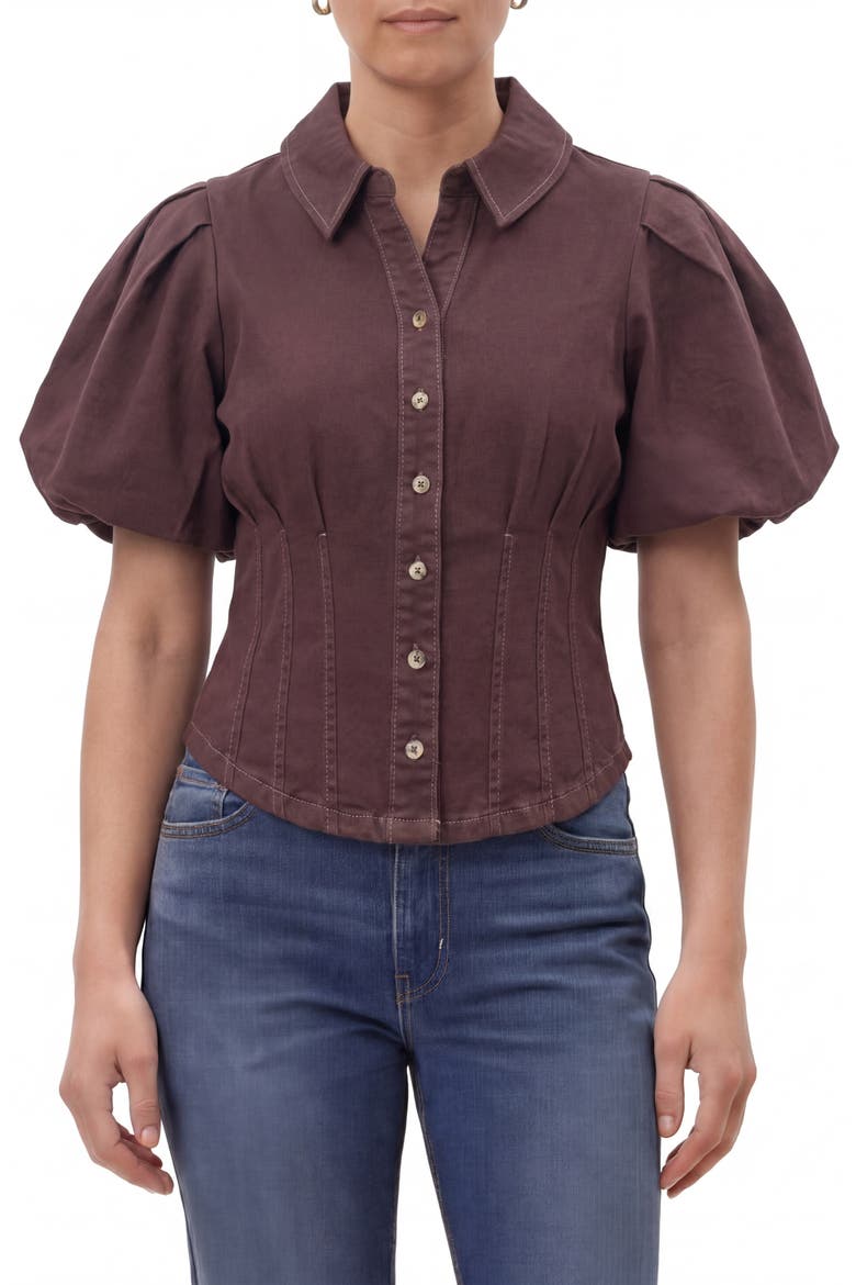 Corset Seam Puff Sleeve Shirt, Main, color, BITTER