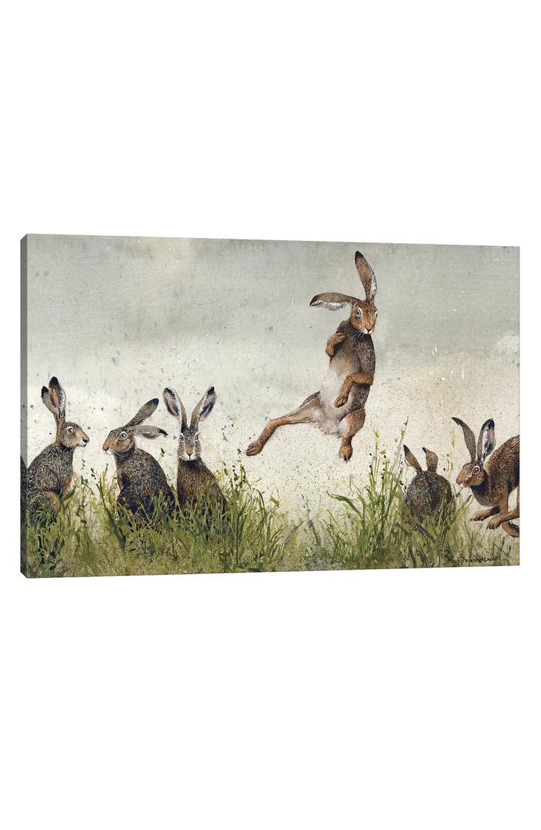 iCanvas Hijinx Canvas Art Print by Maggie Vandewalle, 8" x 12", Main, color, Multi