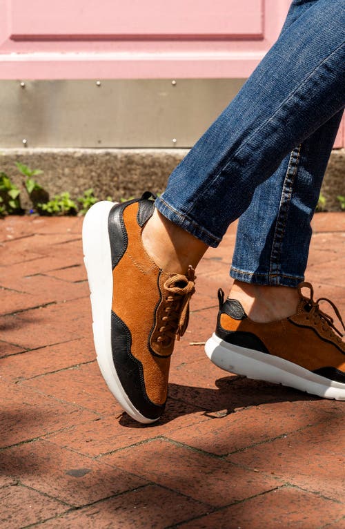 Patricia Green Travel Sneaker In Brown
