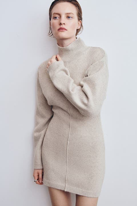 Knit Mock Turtleneck Dress