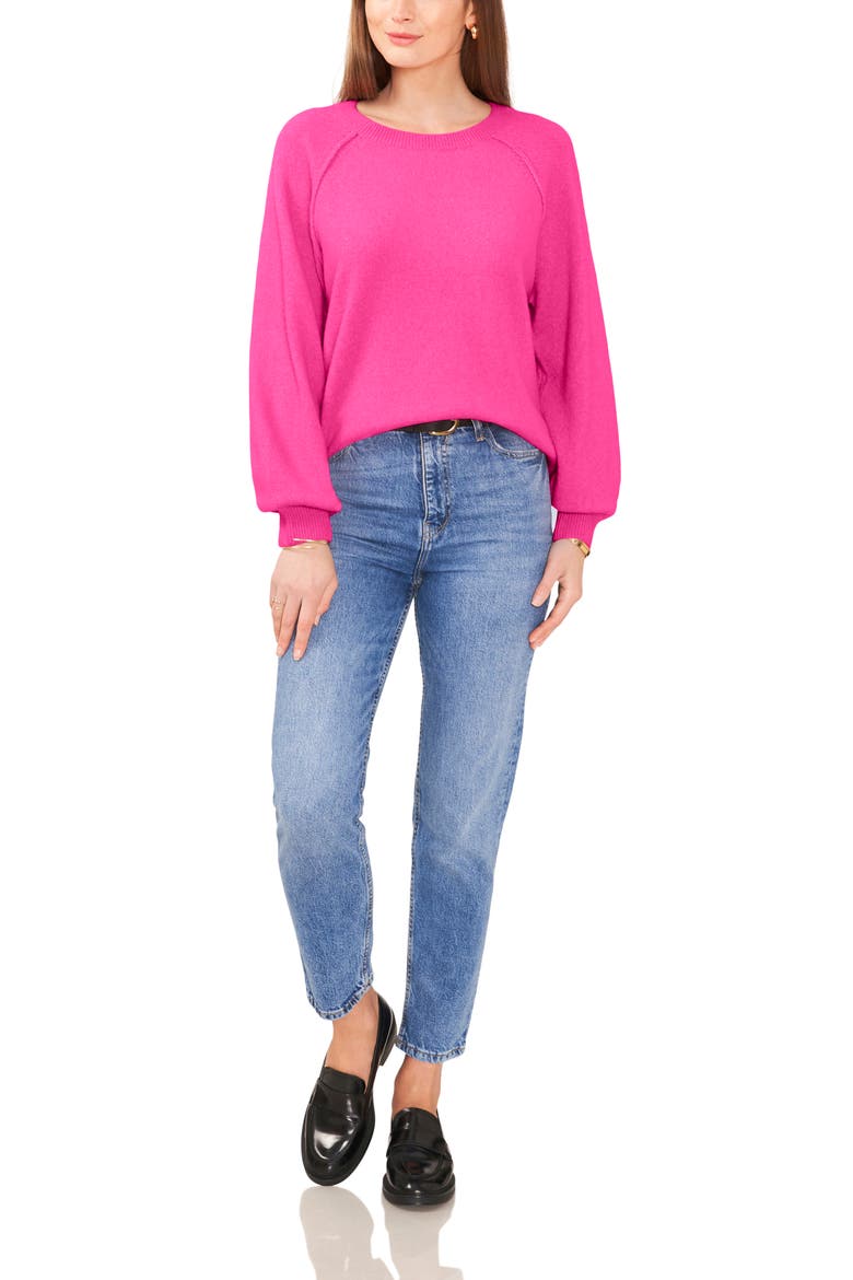 Raglan Sleeve Sweater, Alternate, color, PARADOX