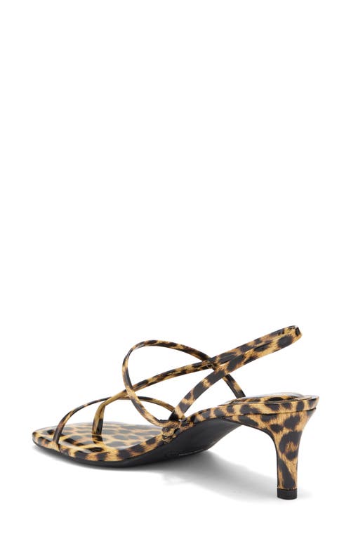 Abound Petra Kitten Heel Sandal In Brown