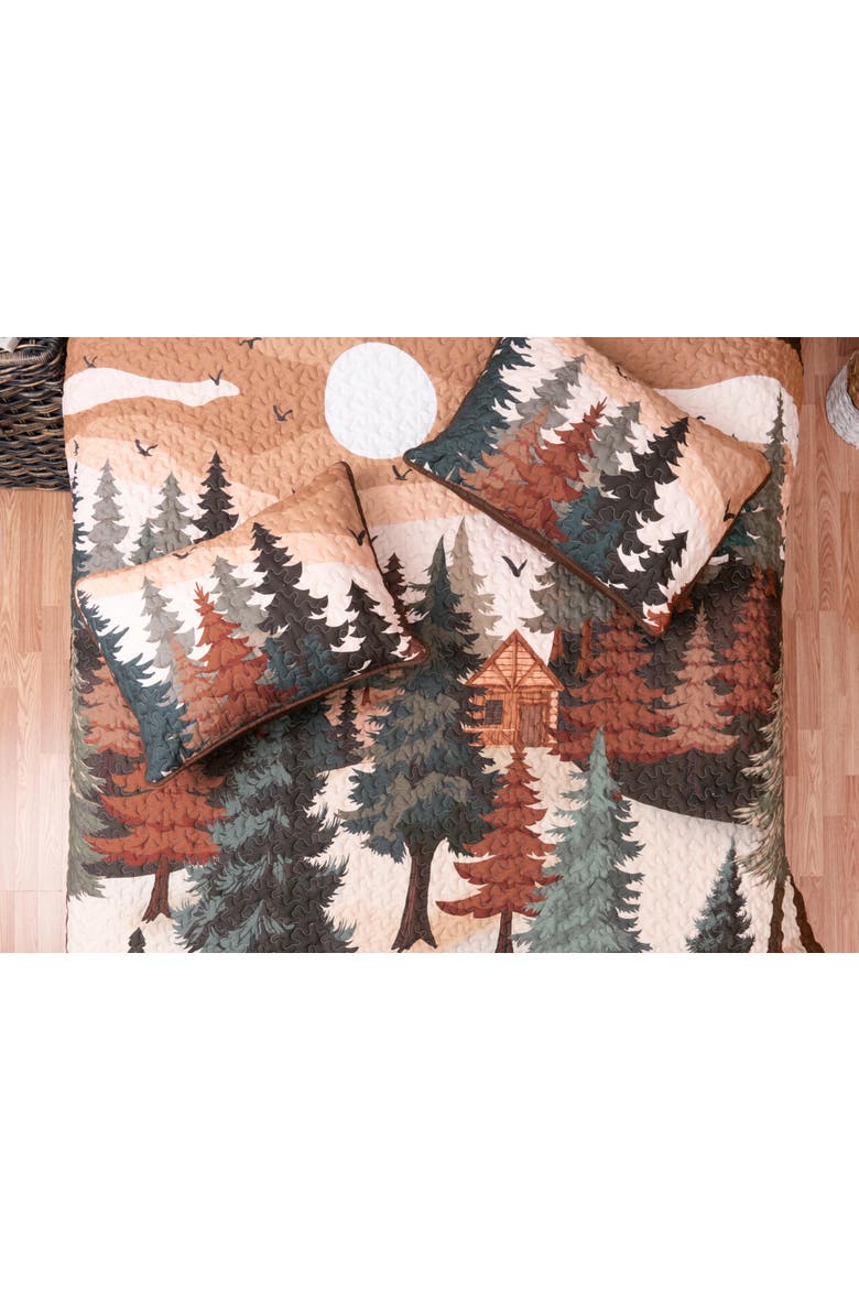 Lodge Retreat Bedspread Quilt, Alternate, color, Brown