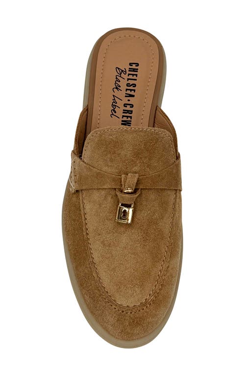 Shop Chelsea Crew Lasso Mule Loafer