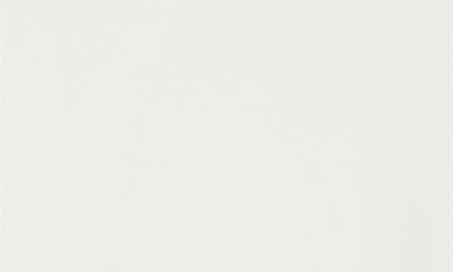 Zimmermann Grommet Boat Neck Cotton T-shirt In White