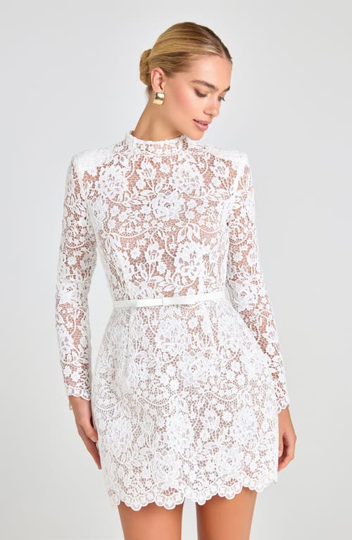 Nadine Merabi Addison Long Sleeve Lace Overlay Cocktail Minidress