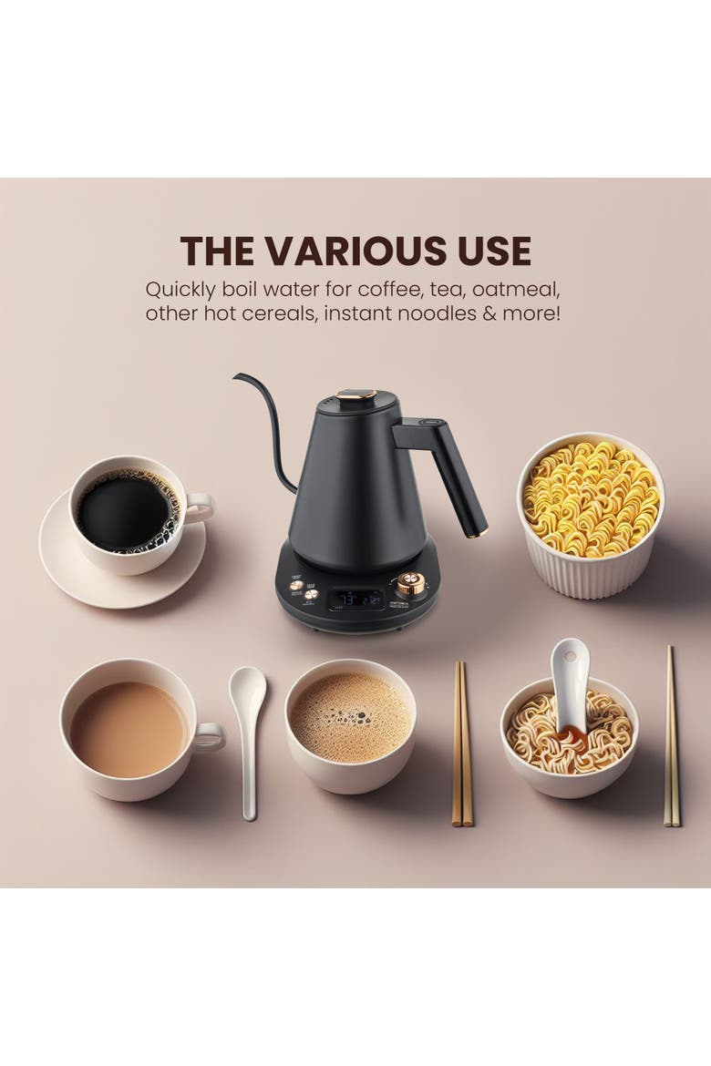 1 L Digital Gooseneck Kettle with Temperature Control, Alternate, color, Stainless Steel