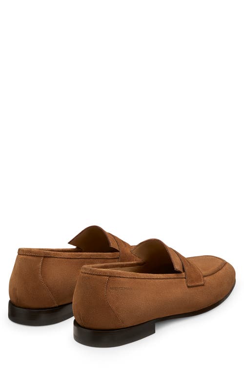 Stuart Weitzman Club Penny Loafer In Brown