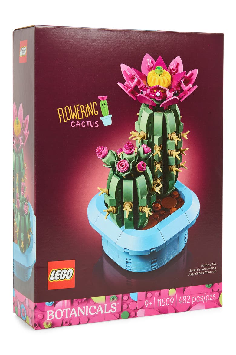 9+ Botanicals Flowering Cactus - 11509, Main, color, MULTI