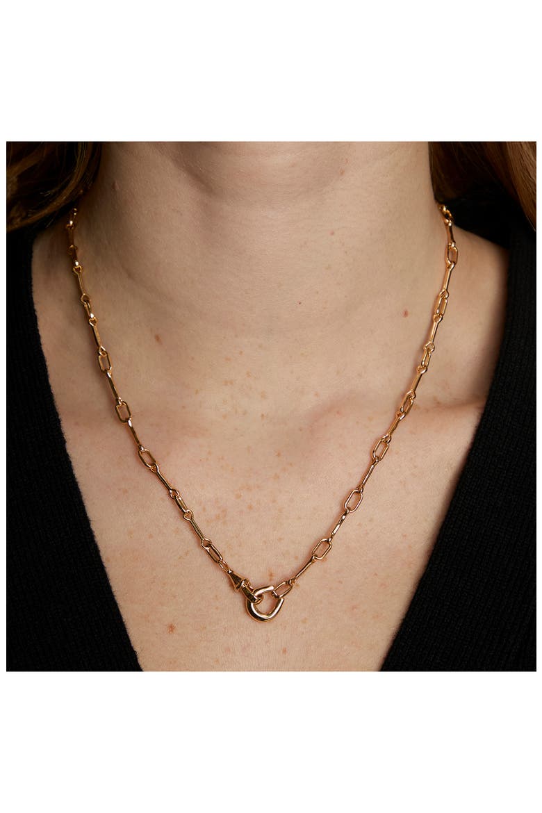 Link Detail Chain Necklace, Alternate, color, GOLD