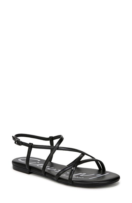 Circus Ny By Sam Edelman Rebecca Strappy Flat Sandals In Black