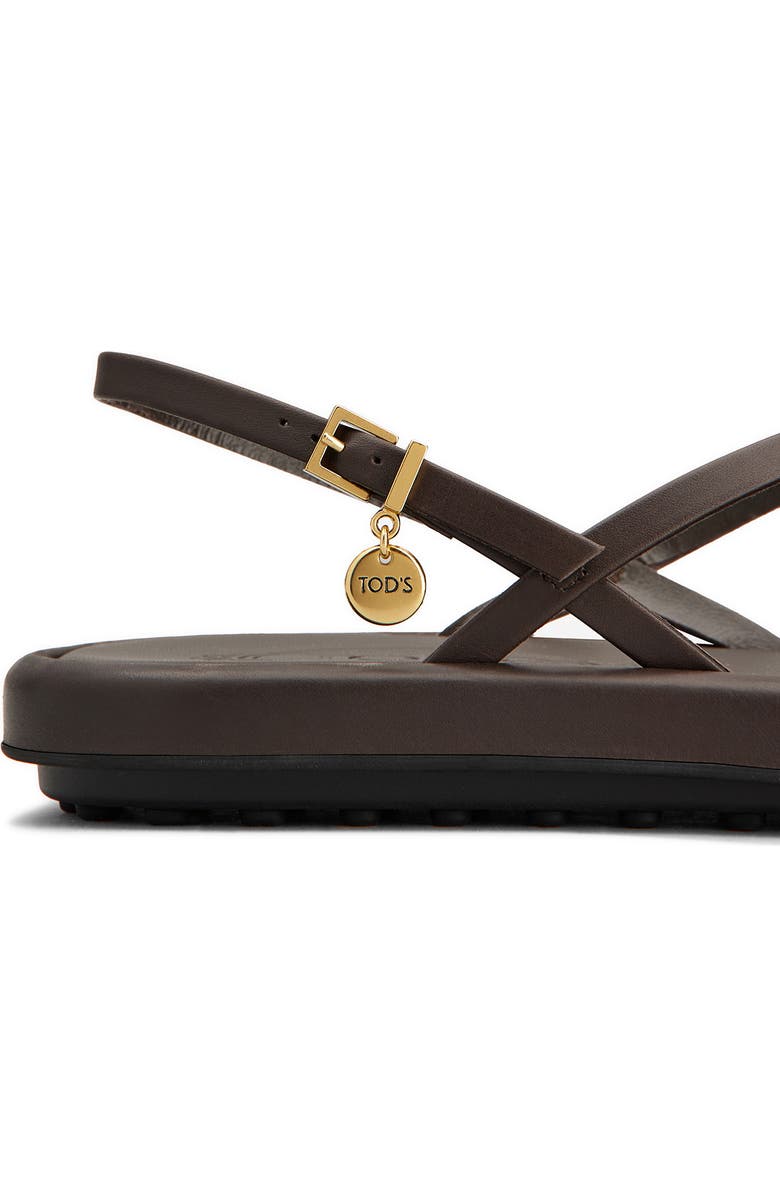 Tod's Charm Toe Loop Sandal, Alternate, color, Palissandro