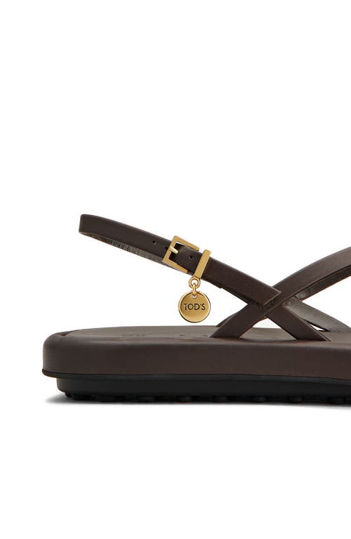 Shop Tod's Charm Toe Loop Sandal In Palissandro