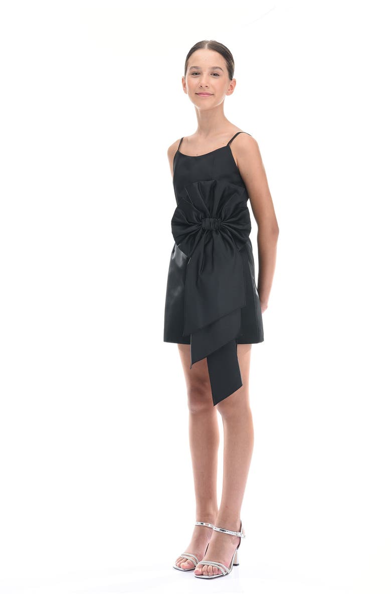 Tulleen Livonia Dress, Alternate, color, Black