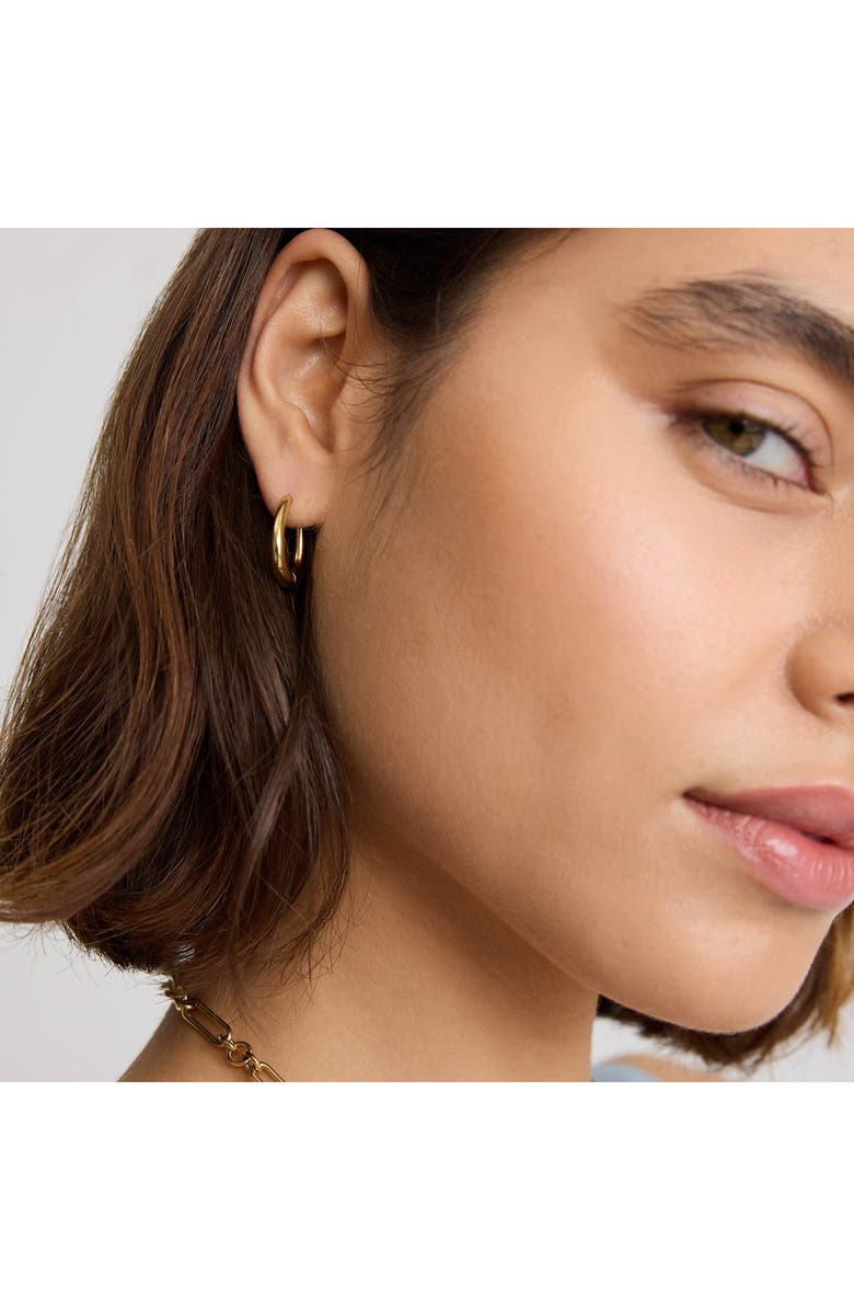 D.LOUISE Tapered Oval Hoop Earrings, Alternate, color,