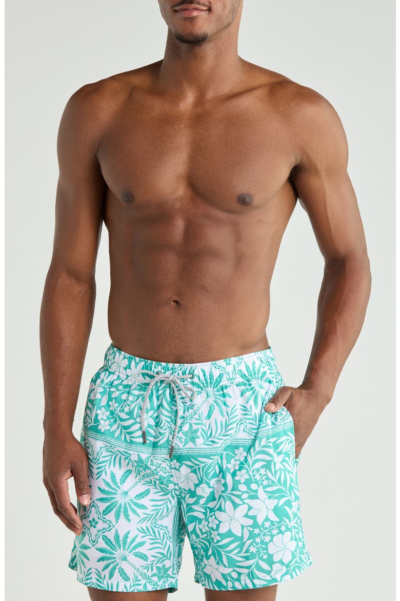 Ponji Swim Shorts, Main, color, GREEN