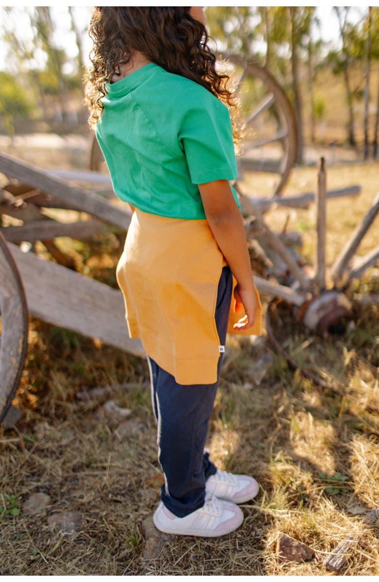 Jackalo Kids' Organic Cotton Raglan T-Shirt, Alternate, color, Parakeet