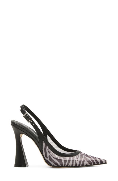 Steve Madden Blare Slingback Pointed Toe Pump In Black