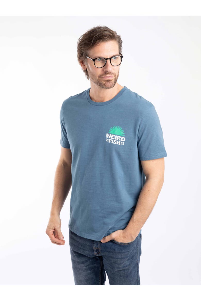 Sun Beam Back Print Graphic T-Shirt, Main, color, Washed Blue