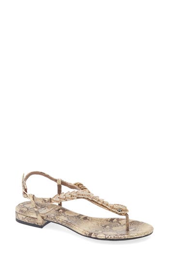 Jeffrey Campbell Kaa Snake Sandal In Multi