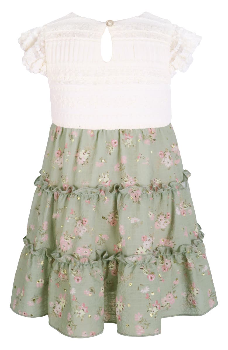 Zunie Lace & Clip Dot Chiffon Party Dress, Alternate, color, Sage/ Ivory