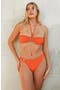  Vibrant Orange