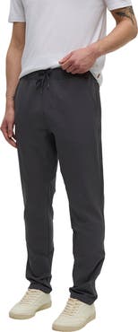 tentree Simcoe Pant