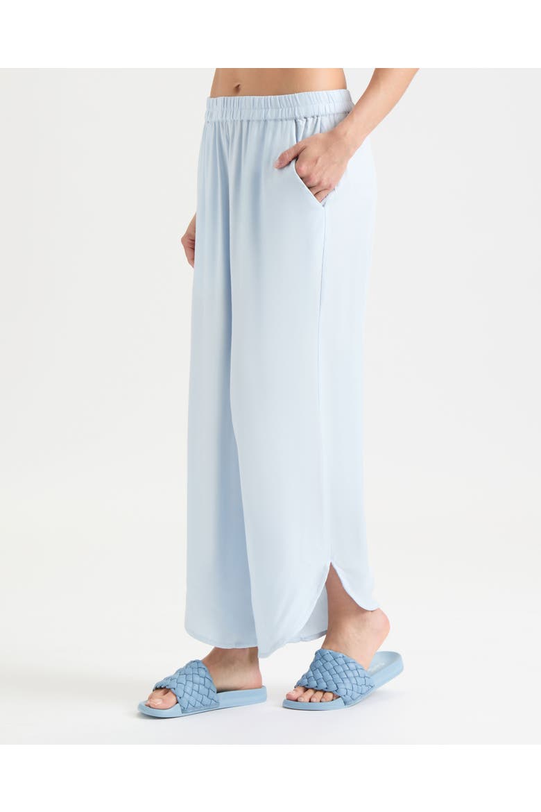By the Sea Wide Leg Pants, Alternate, color, Cloud Blue